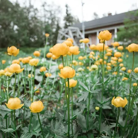 Holiday home North Story Cottages Near Ruka *